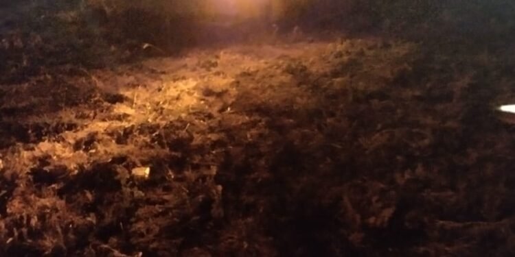Otro automovilista se «comió» la rotonda Sur de la RN 34