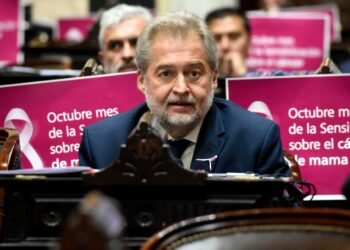 Mirabella reclamó en el Congreso por la Justicia Federal en Santa Fe