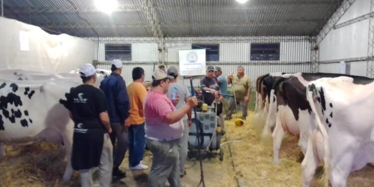 Expo Rural Rafaela: Ocho ejemplares disputan el 101° Concurso de Vacas Lecheras