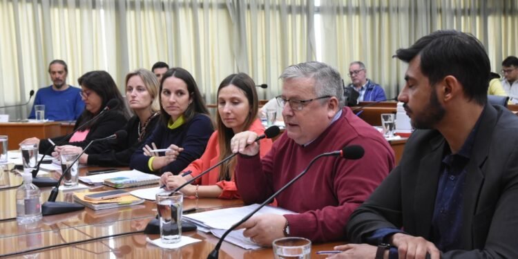 Lombardo presentó al Concejo su segundo informe de gestión anual