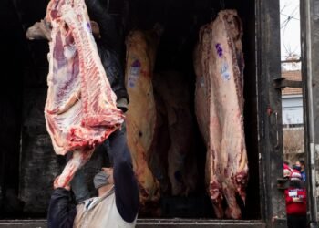 Por pedido de las provincias, se prorrogó el comienzo del troceo de carne por 75 días