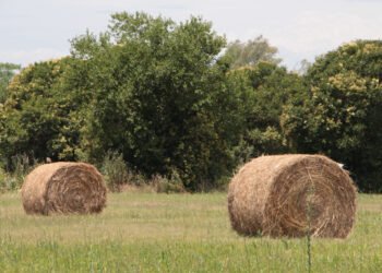 Se encuentran disponibles líneas de financiamiento para productores agropecuarios