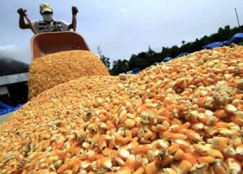 El gobierno destinará $15.000 millones para subsidiar a productores de soja y maíz