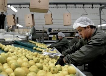 Los consumidores pagan cuatro veces más de que lo que cobran los productores agropecuarios