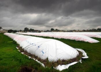 El Gobierno puso en marcha el dólar soja y la tonelada para productores saltó a $80.000