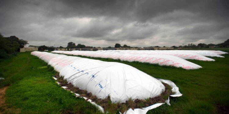 El Gobierno puso en marcha el dólar soja y la tonelada para productores saltó a $80.000