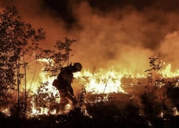 La ola de calor en Europa provocó al menos 15.000 muertes en 2022