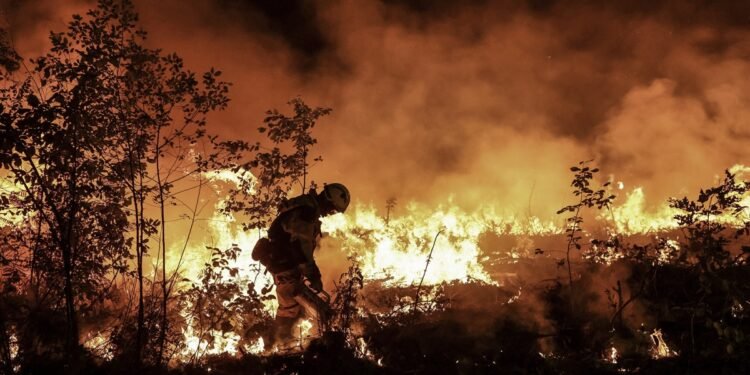 La ola de calor en Europa provocó al menos 15.000 muertes en 2022
