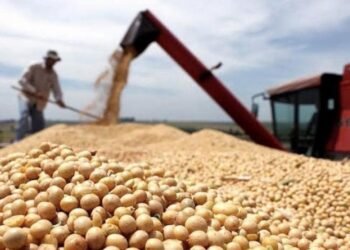 Comenzó a regir la segunda etapa del Programa de Incremento Exportador