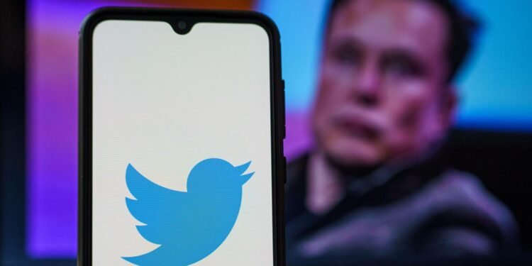«Pasarán semanas» hasta que las cuentas suspendidas de Twitter se restablezcan