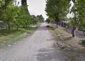 Asesinaron a una anciana a puñaladas y detuvieron a su hijo