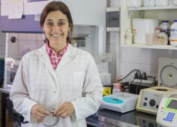 Una científica del Conicet y una posible solución contra la leucosis bovina