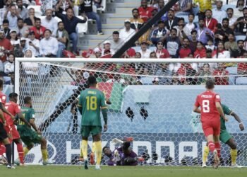 Suiza le ganó 1 a 0 a Camerún