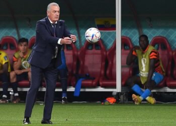 «Tengo que analizar si sigo dirigiendo», aseguró Alfaro