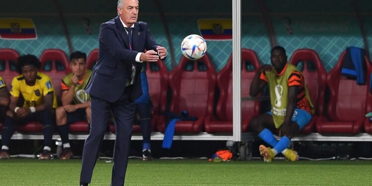 «Tengo que analizar si sigo dirigiendo», aseguró Alfaro