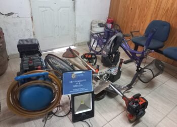 Recuperaron elementos robados: la madre denunció al ladrón