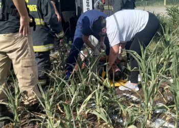 Volcó un camión lechero en el desvío del tránsito pesado