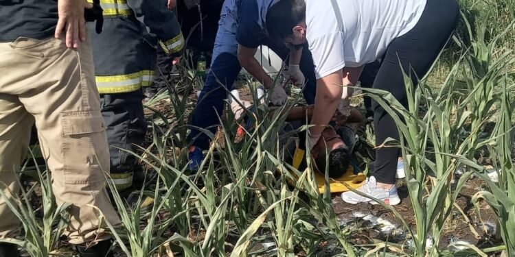 Volcó un camión lechero en el desvío del tránsito pesado