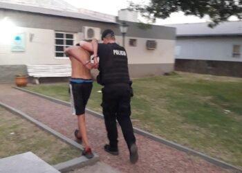 Detienen a un joven tras un raid delictivo en Los Nogales