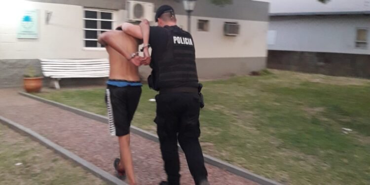 Detienen a un joven tras un raid delictivo en Los Nogales