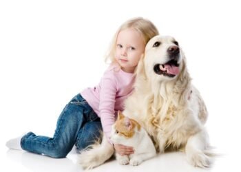 Amor y vacunas: las claves para proteger la salud de nuestros cachorros y gatitos