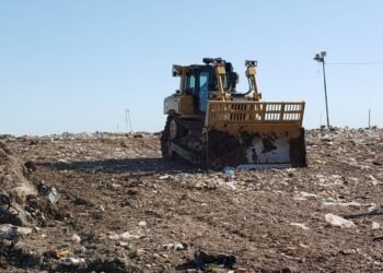 Consideraciones para el decomiso de alimentos