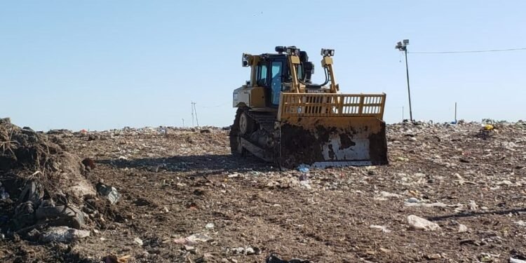 Consideraciones para el decomiso de alimentos