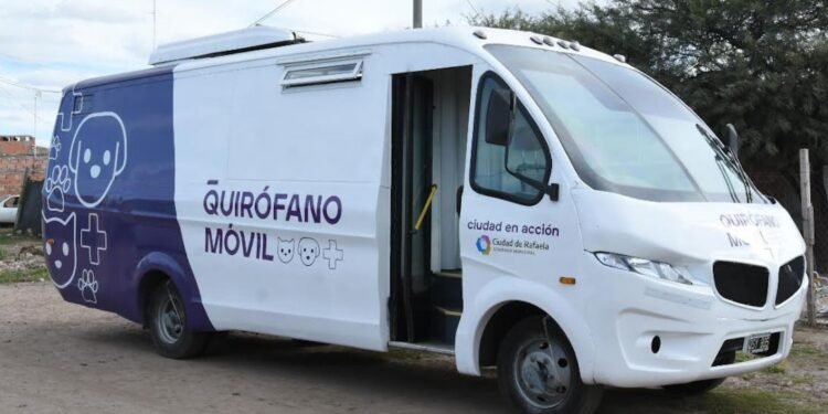 La atención de perros y gatos se centrará en Salud Animal y Zoonosis