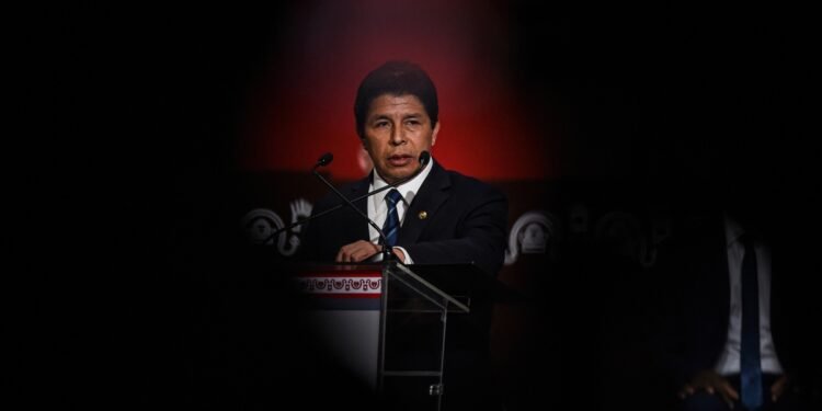 Castillo agradeció el respaldo de Colombia, Argentina, Bolivia y México