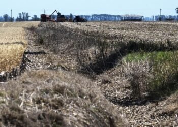 Casi 23 millones de hectáreas se encuentran en condiciones de sequía severa