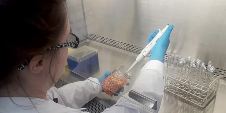 El Senasa actualiza sus laboratorios para fortalecer la seguridad alimentaria