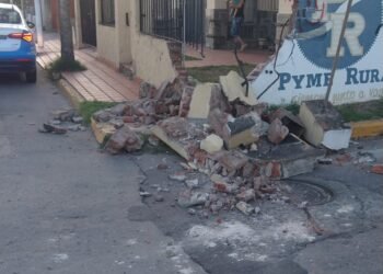 Le tiraron abajo el tapial y se escaparon