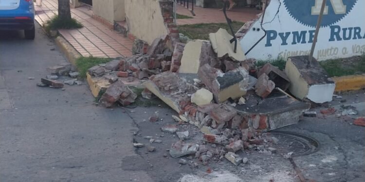 Le tiraron abajo el tapial y se escaparon