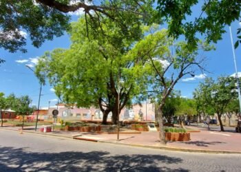 Intervendrán un muro del Parque Malvinas con una alusión al Mundial