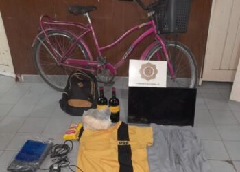 Robaron, pero la alarma los delató