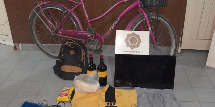 Robaron, pero la alarma los delató