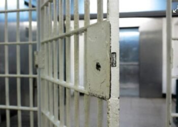 La “Gringa Jara” fue trasladada a Rosario, pero antes agredió físicamente a efectivos de la UR V