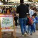 Aromas, sabores y colores en la Feria desde el Origen