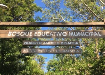 Feria de productos orgánicos y sustentables en el Bosque Besaccia