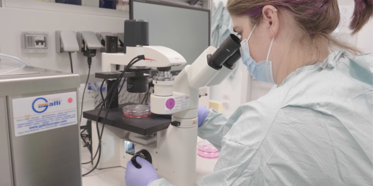 Vacunas anticovid: una investigación internacional compara respuestas de anticuerpos