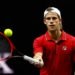 El rompecabezas argentino para la Copa Davis: la salida de Schwartzman, los únicos dos confirmados y los debutantes