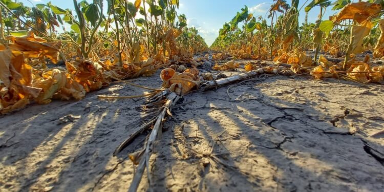 Nueva línea provincial de financiamiento para productores
