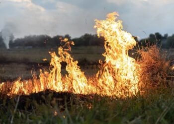 Recomendaciones para prevenir incendios rurales o forestales