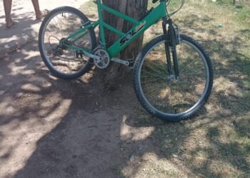 Monitoreo detectó el robo de una bicicleta desde un garage