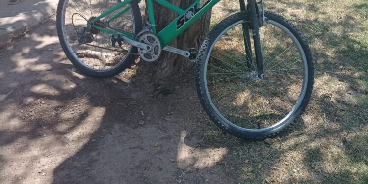 Monitoreo detectó el robo de una bicicleta desde un garage