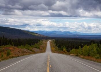 ¿Vas a viajar? Tené en cuenta estas recomendaciones
