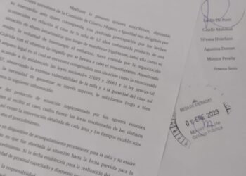 Caso Grávida: Diputadas provinciales reclaman que se informe cómo actuó el Estado