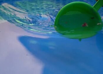 Assa reitera la importancia de realizar un uso responsable y solidario del agua potable