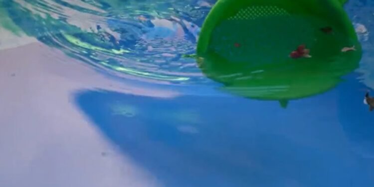 Assa reitera la importancia de realizar un uso responsable y solidario del agua potable