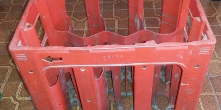 La coca para el fernet: se robaron un cajón de gaseosa y quedaron registrados por las cámaras